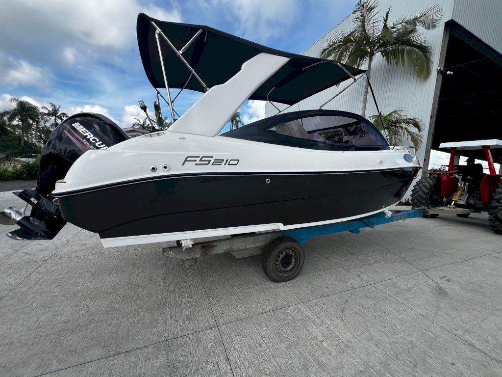 FS 210